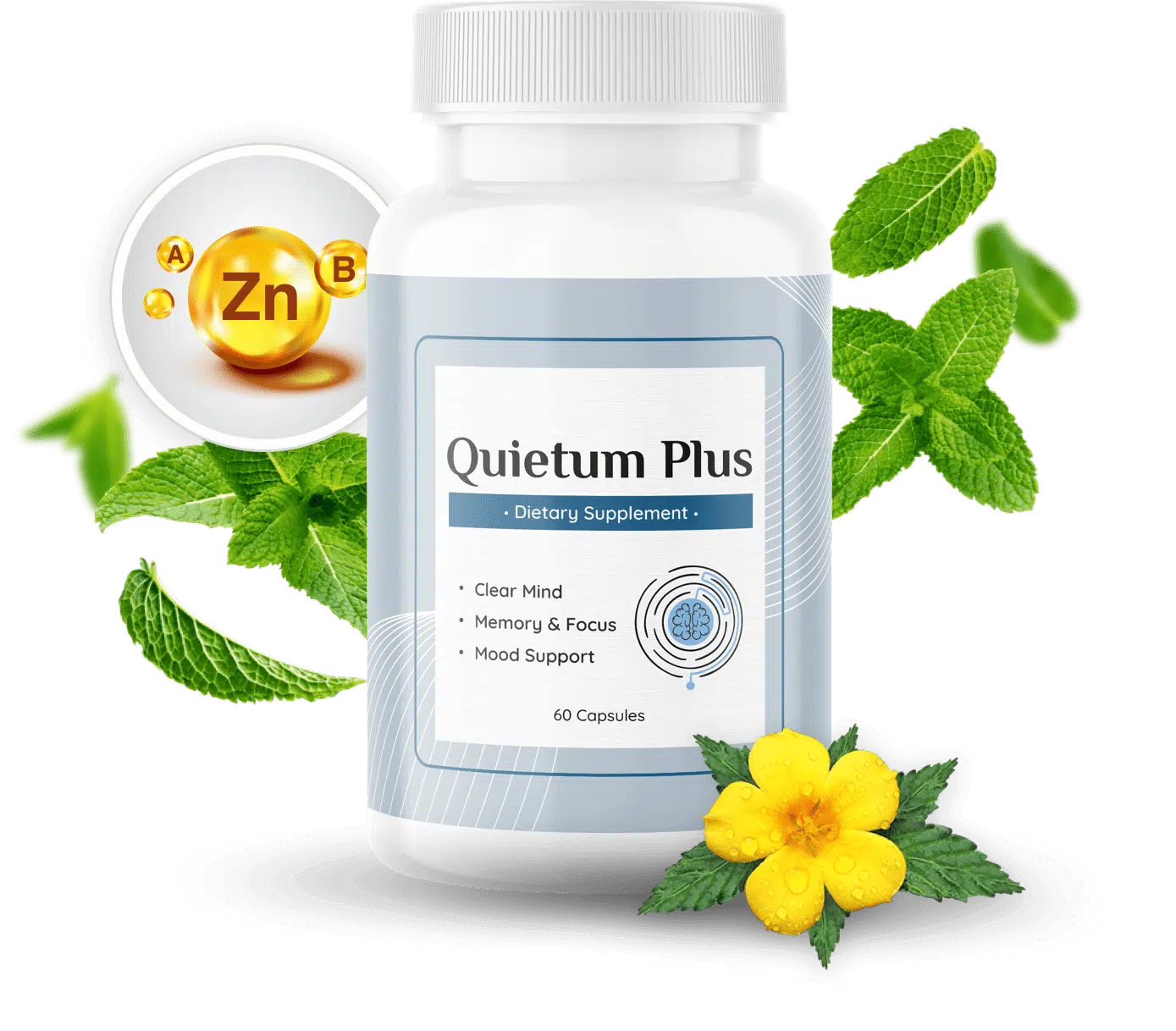 Quietum Plus Reviews