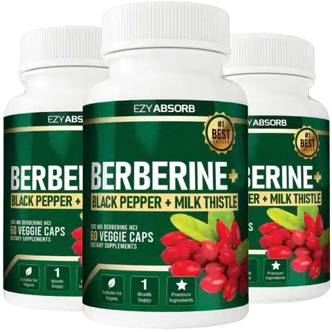 best berberine supplement